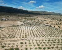 Venta - Grond - Pinoso