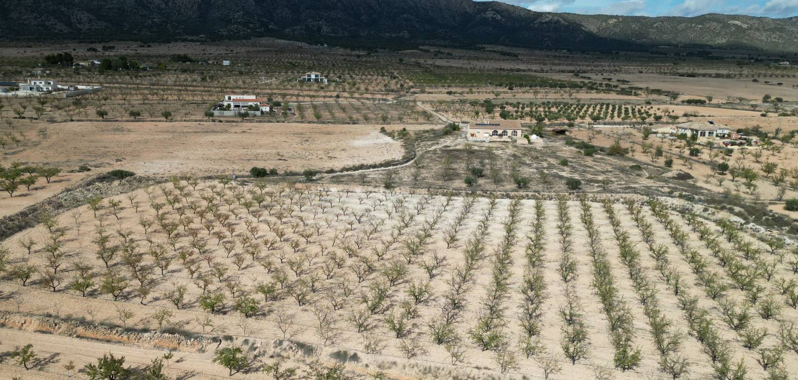 Venta - Grond - Pinoso