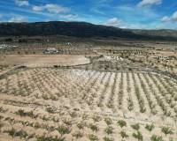 Venta - Grond - Pinoso