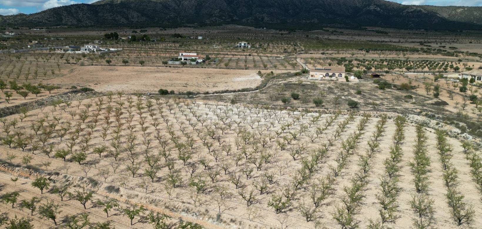 Venta - Grond - Pinoso