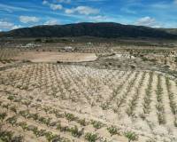 Venta - Grond - Pinoso