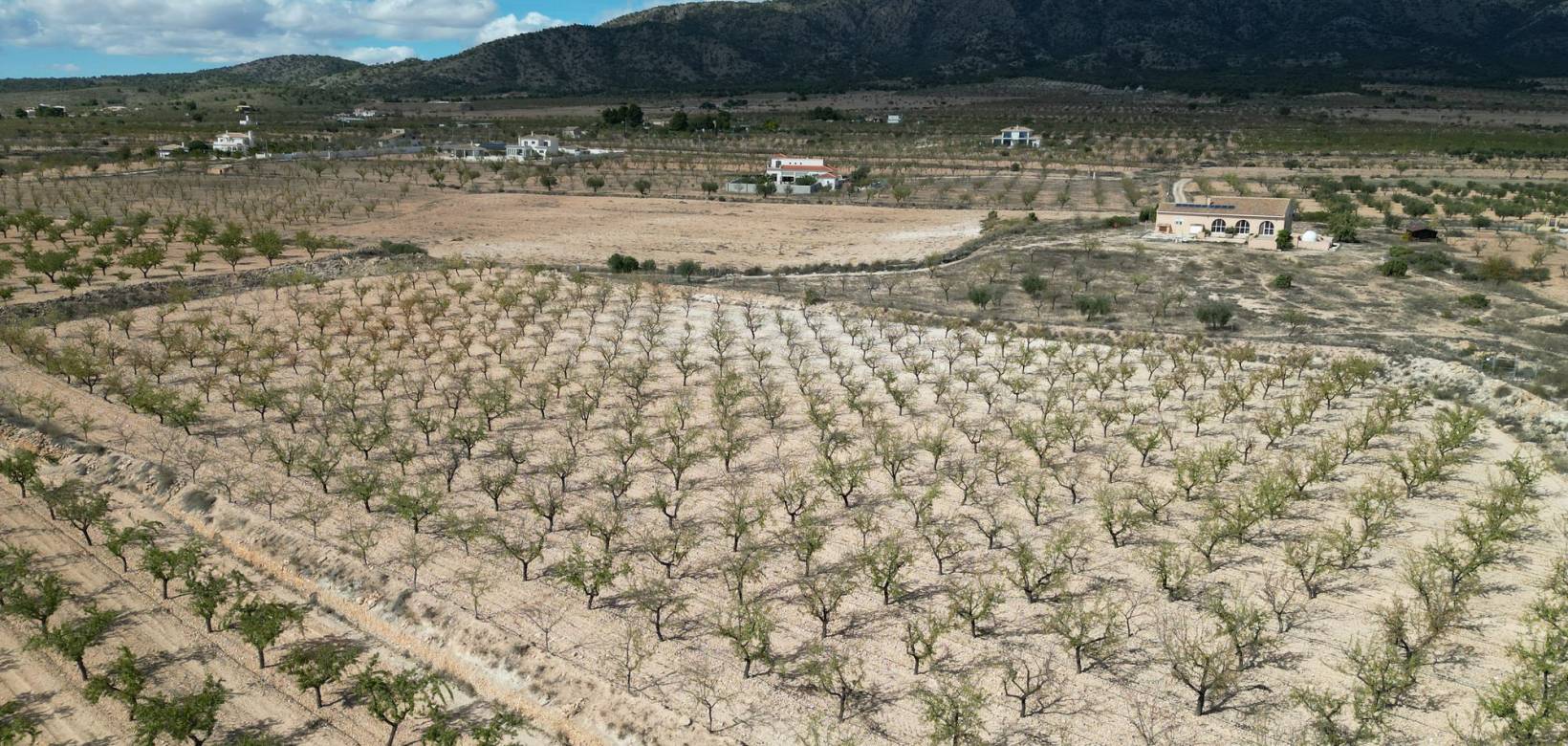 Venta - Grond - Pinoso