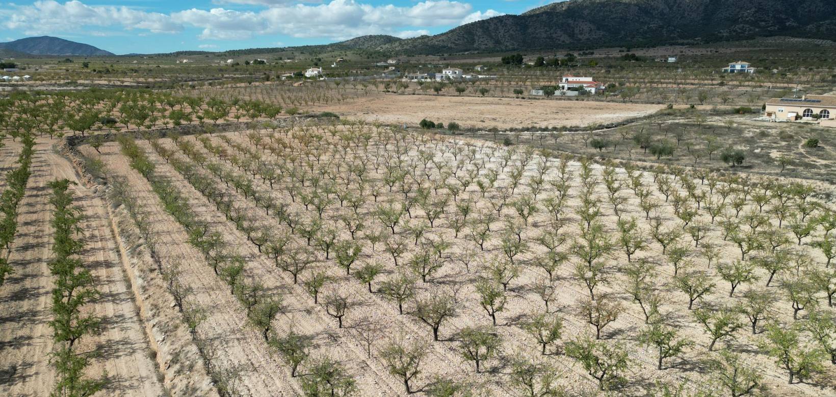 Venta - Grond - Pinoso