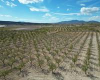 Venta - Grond - Pinoso