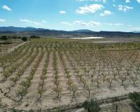 Venta - Grond - Pinoso