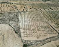 Venta - Grond - Pinoso