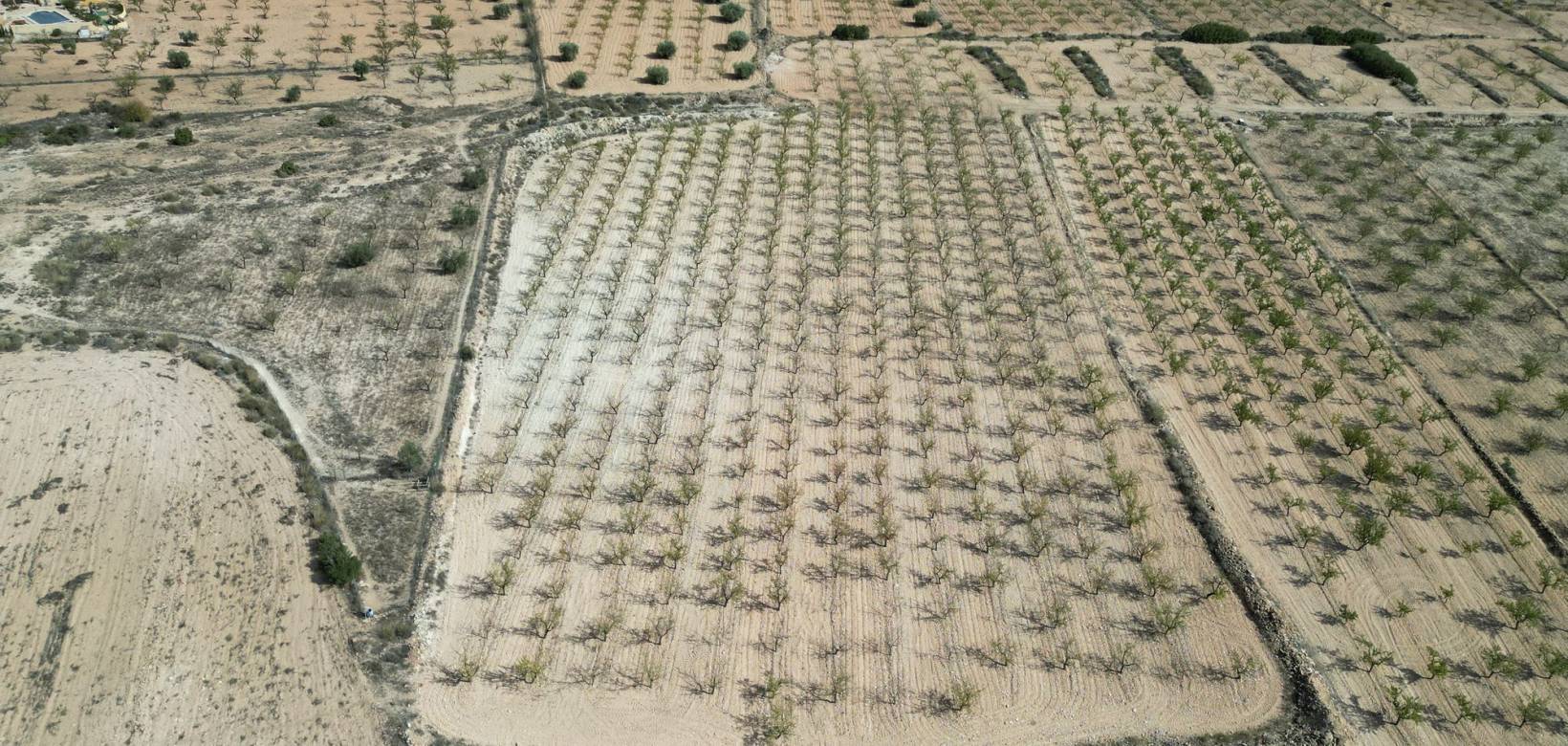 Venta - Grond - Pinoso