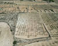 Venta - Grond - Pinoso