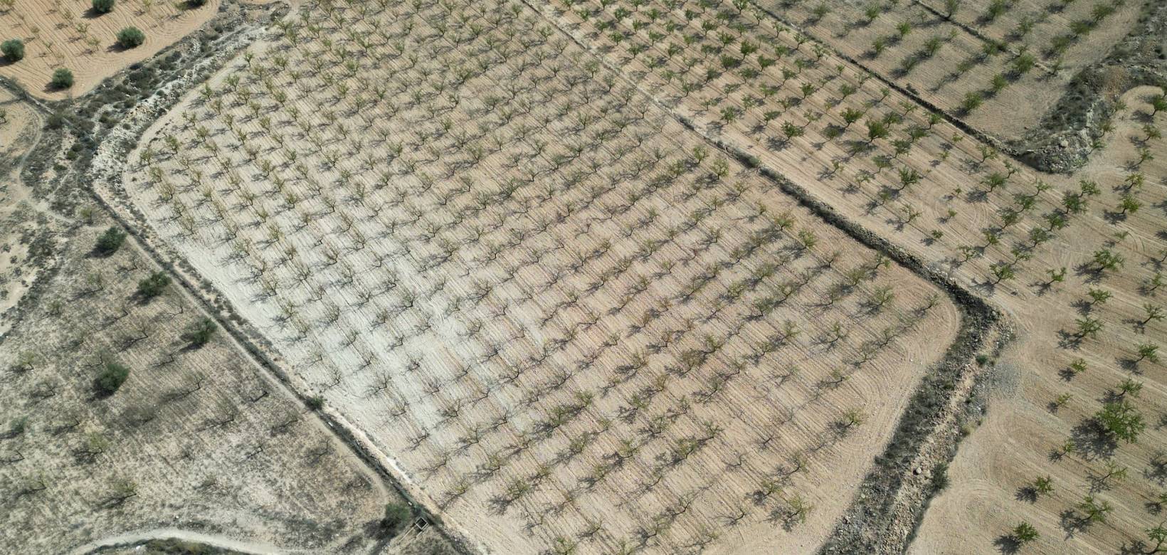 Venta - Grond - Pinoso