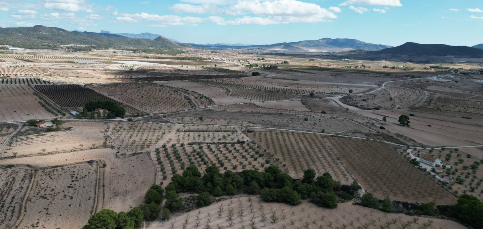 Venta - Grond - Pinoso