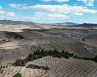 Venta - Grond - Pinoso