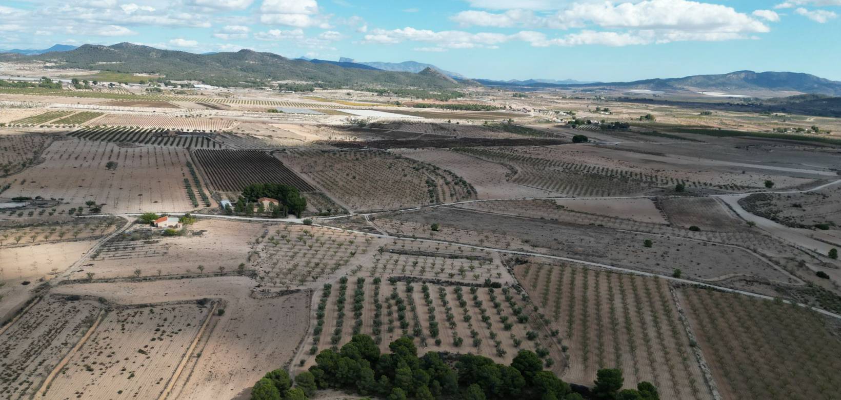 Venta - Grond - Pinoso