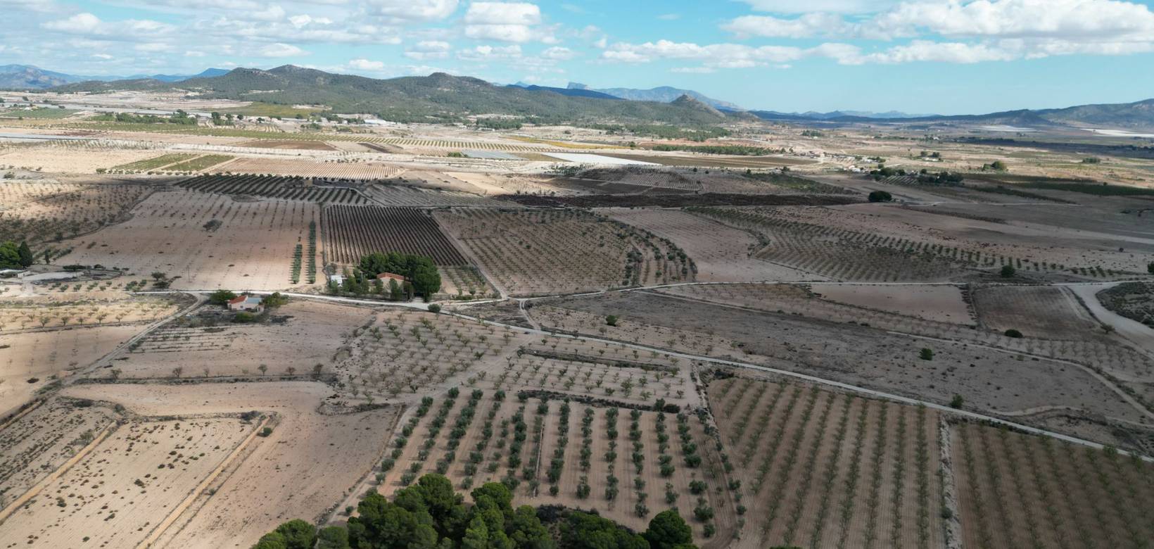 Venta - Grond - Pinoso