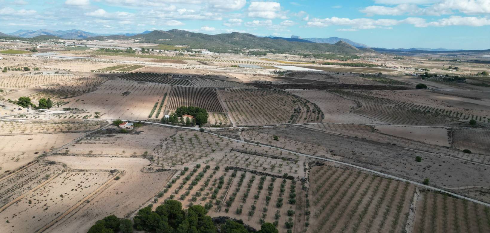 Venta - Grond - Pinoso