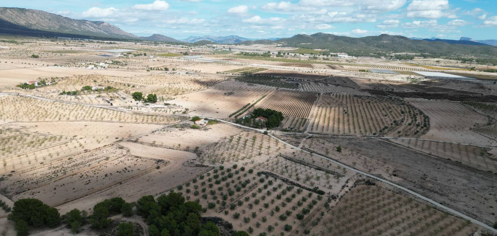 Venta - Grond - Pinoso