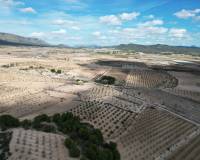 Venta - Grond - Pinoso