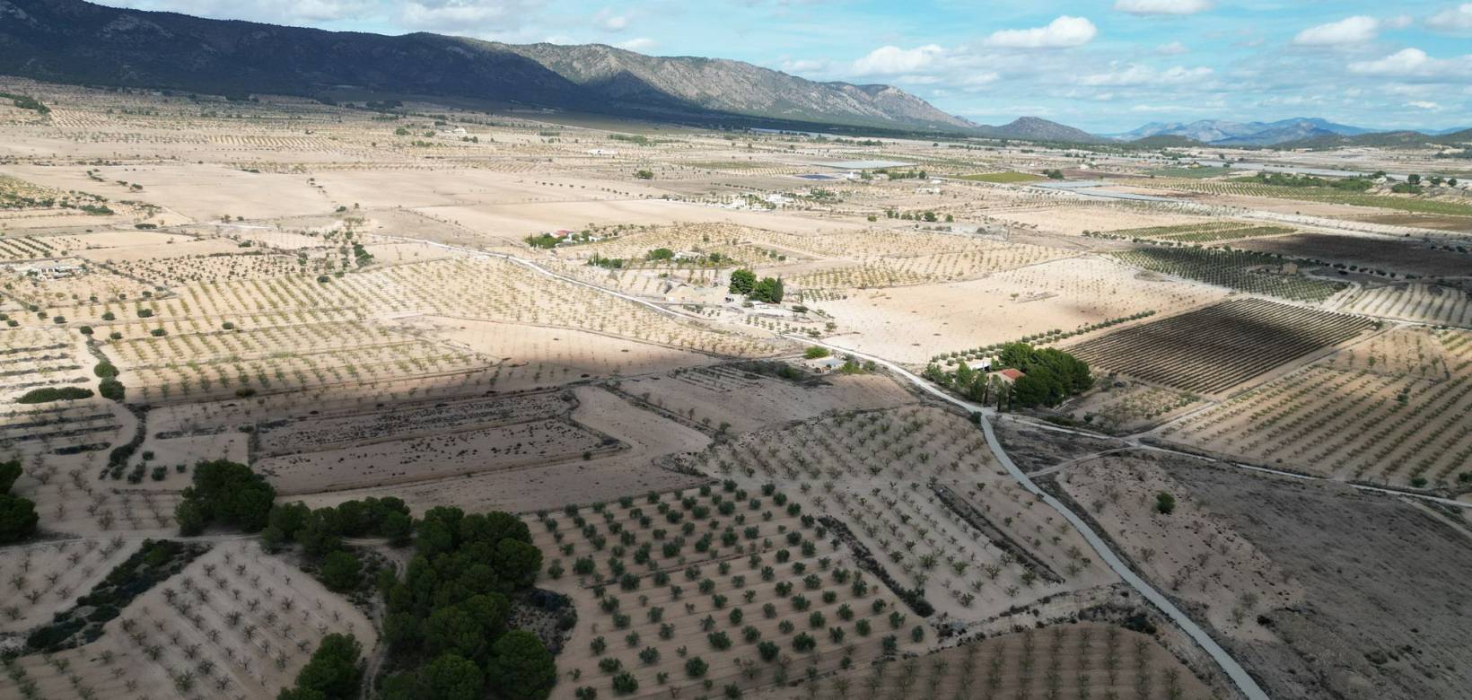 Venta - Grond - Pinoso