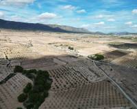 Venta - Grond - Pinoso