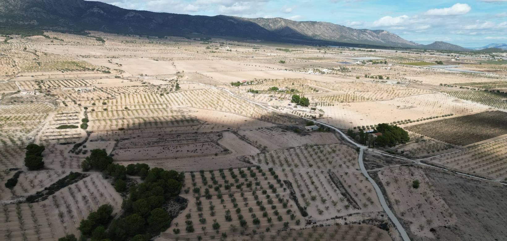 Venta - Grond - Pinoso