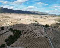 Venta - Grond - Pinoso