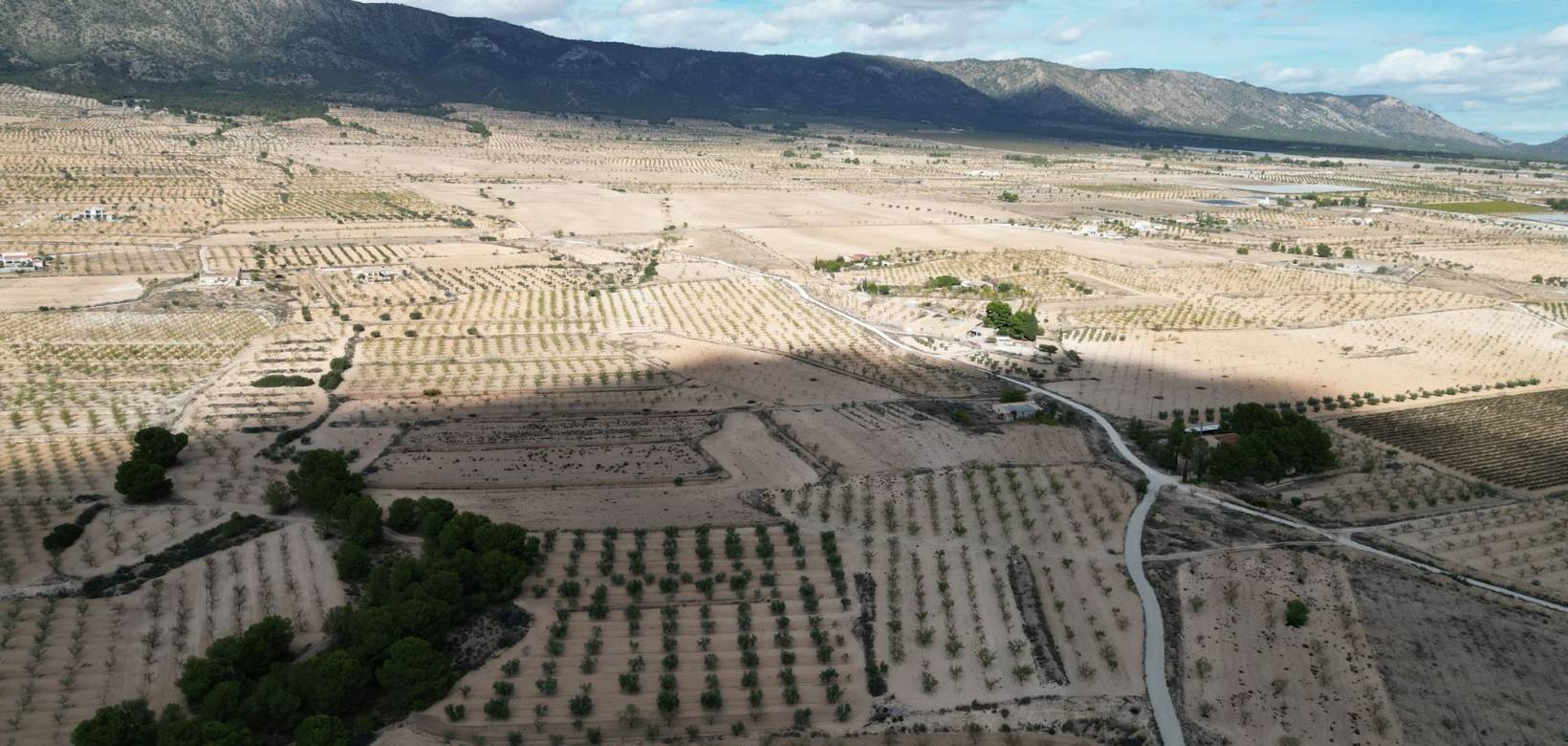 Venta - Grond - Pinoso