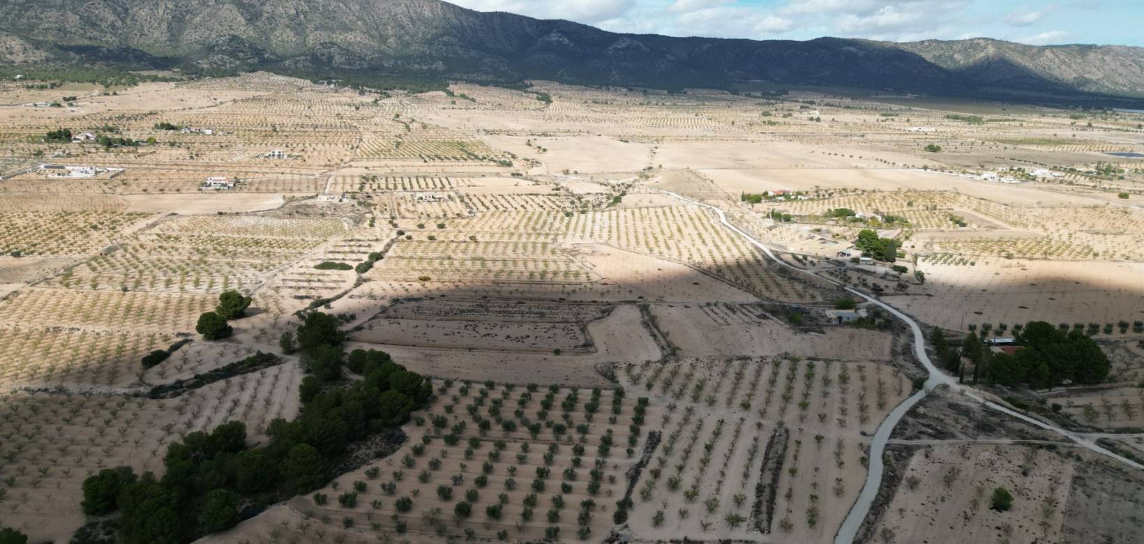 Venta - Grond - Pinoso