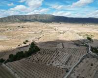 Venta - Grond - Pinoso