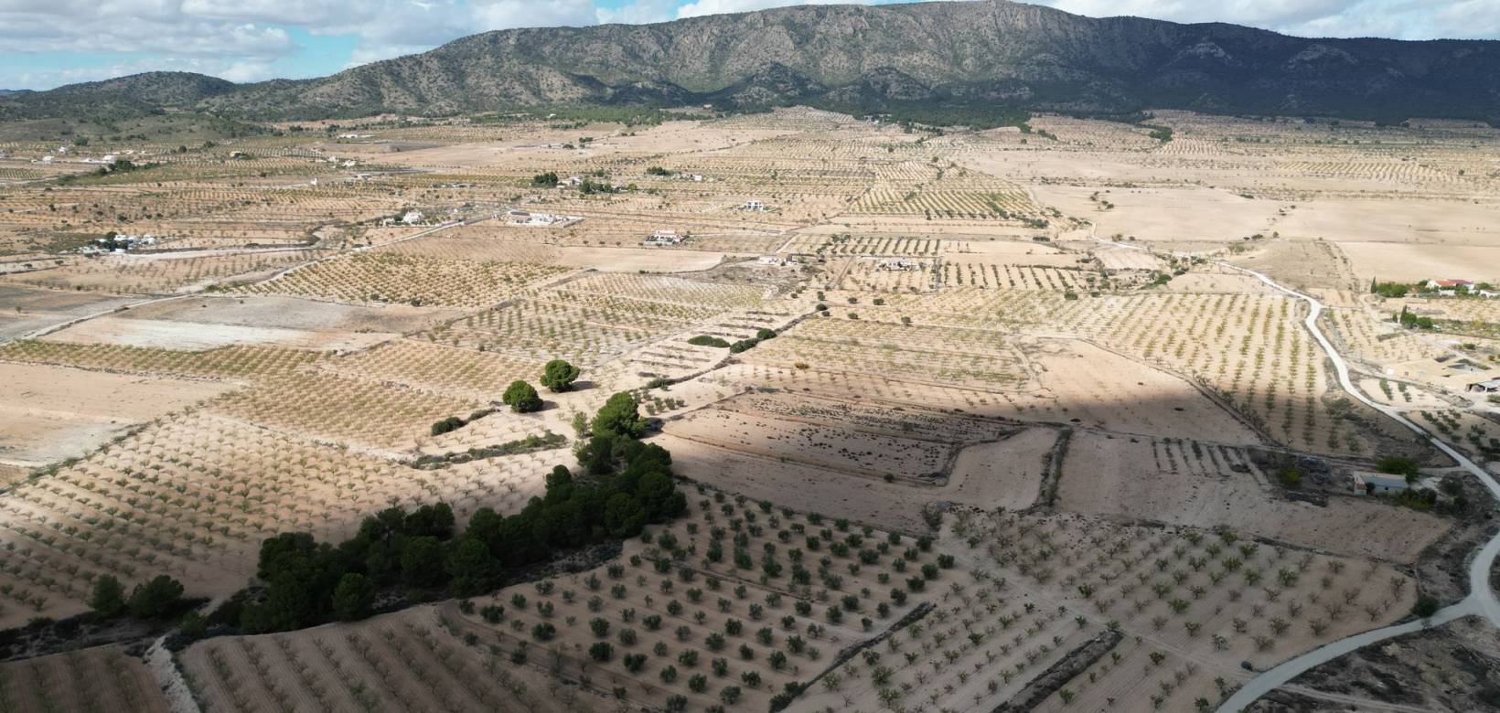 Venta - Grond - Pinoso