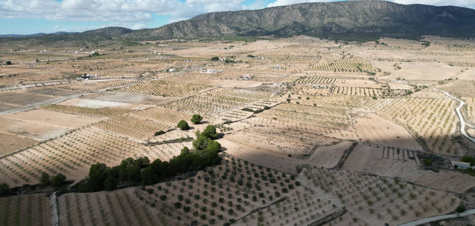 Venta - Grond - Pinoso