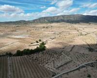 Venta - Grond - Pinoso