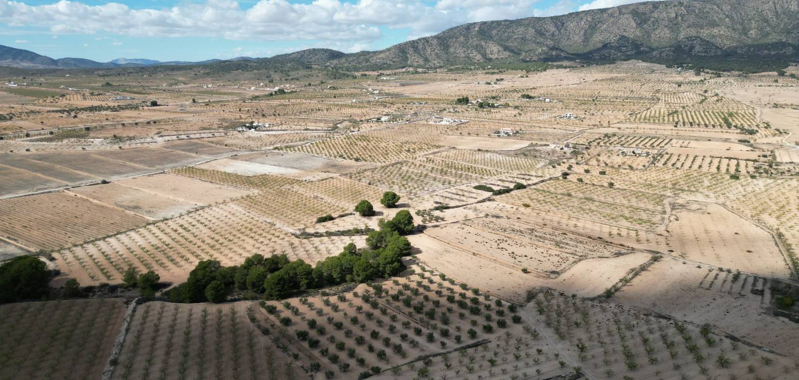 Venta - Grond - Pinoso