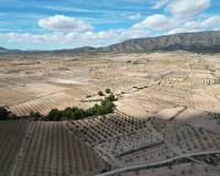 Venta - Grond - Pinoso