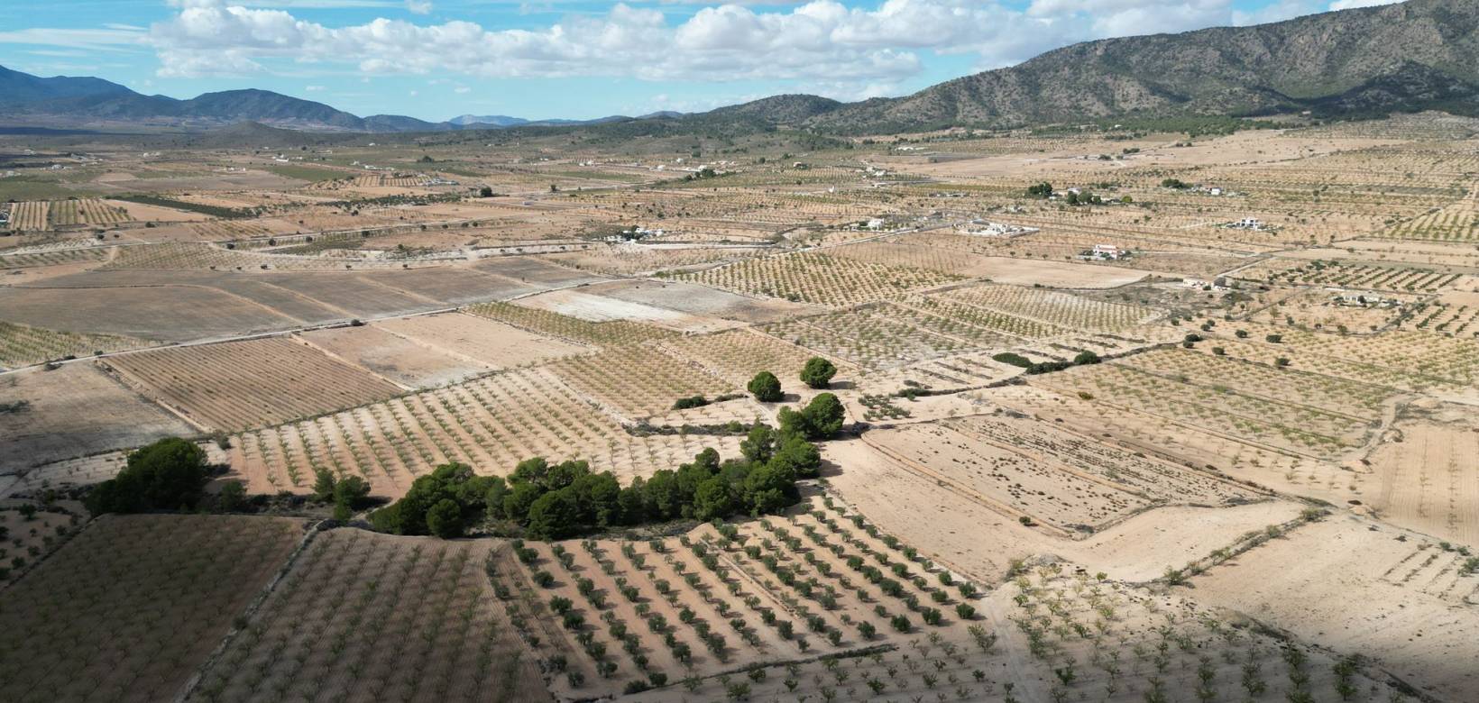 Venta - Grond - Pinoso