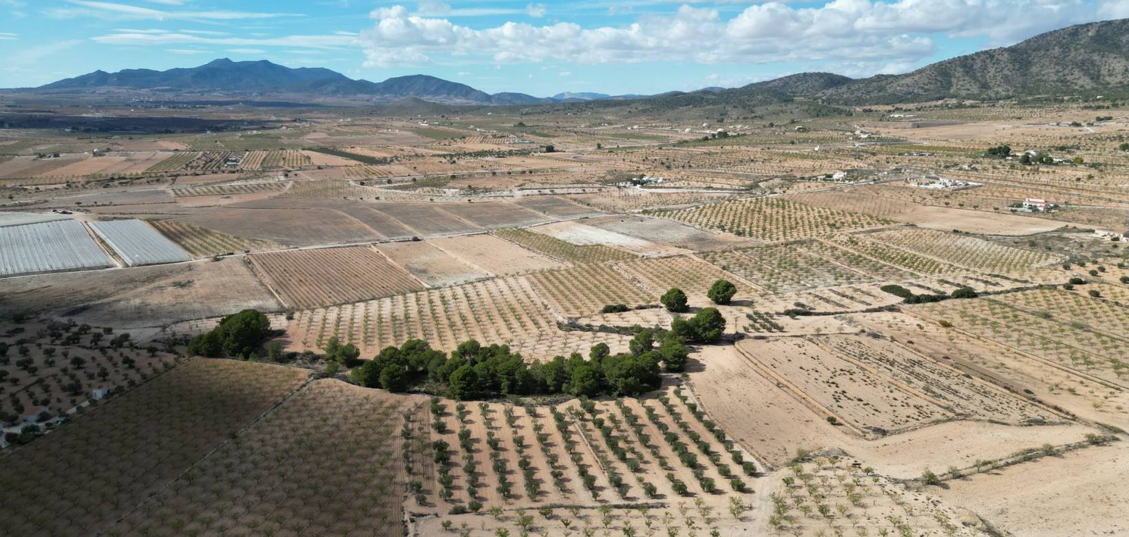 Venta - Grond - Pinoso
