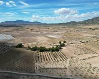 Venta - Grond - Pinoso