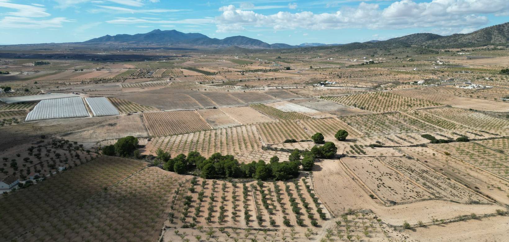 Venta - Grond - Pinoso