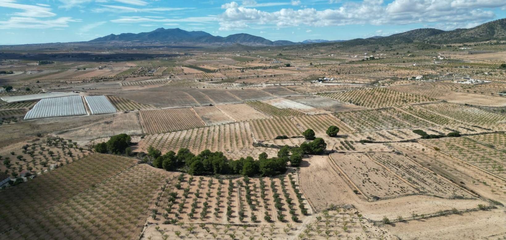 Venta - Grond - Pinoso