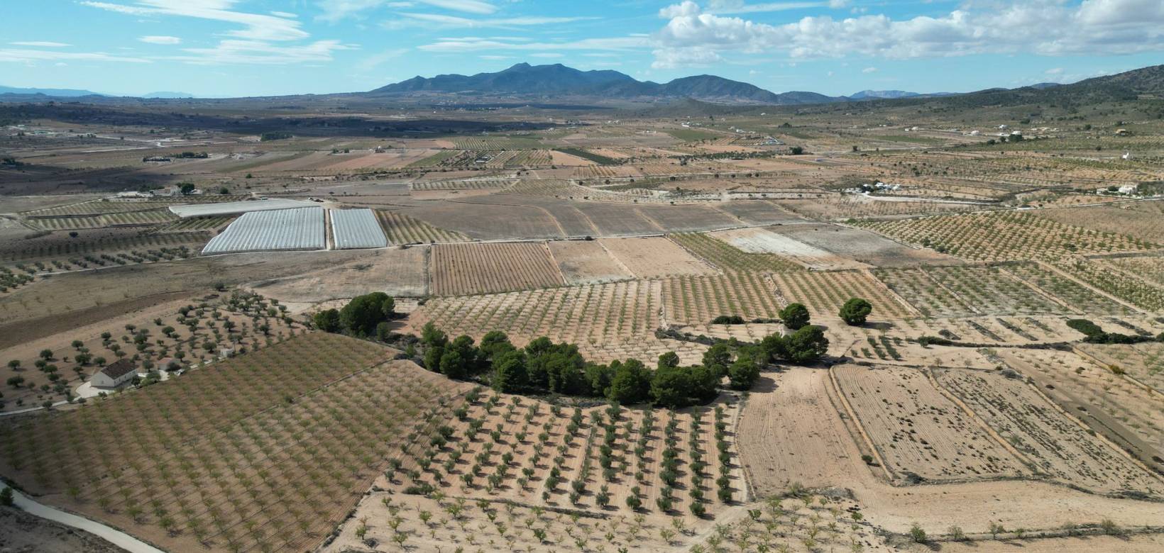 Venta - Grond - Pinoso