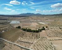 Venta - Grond - Pinoso