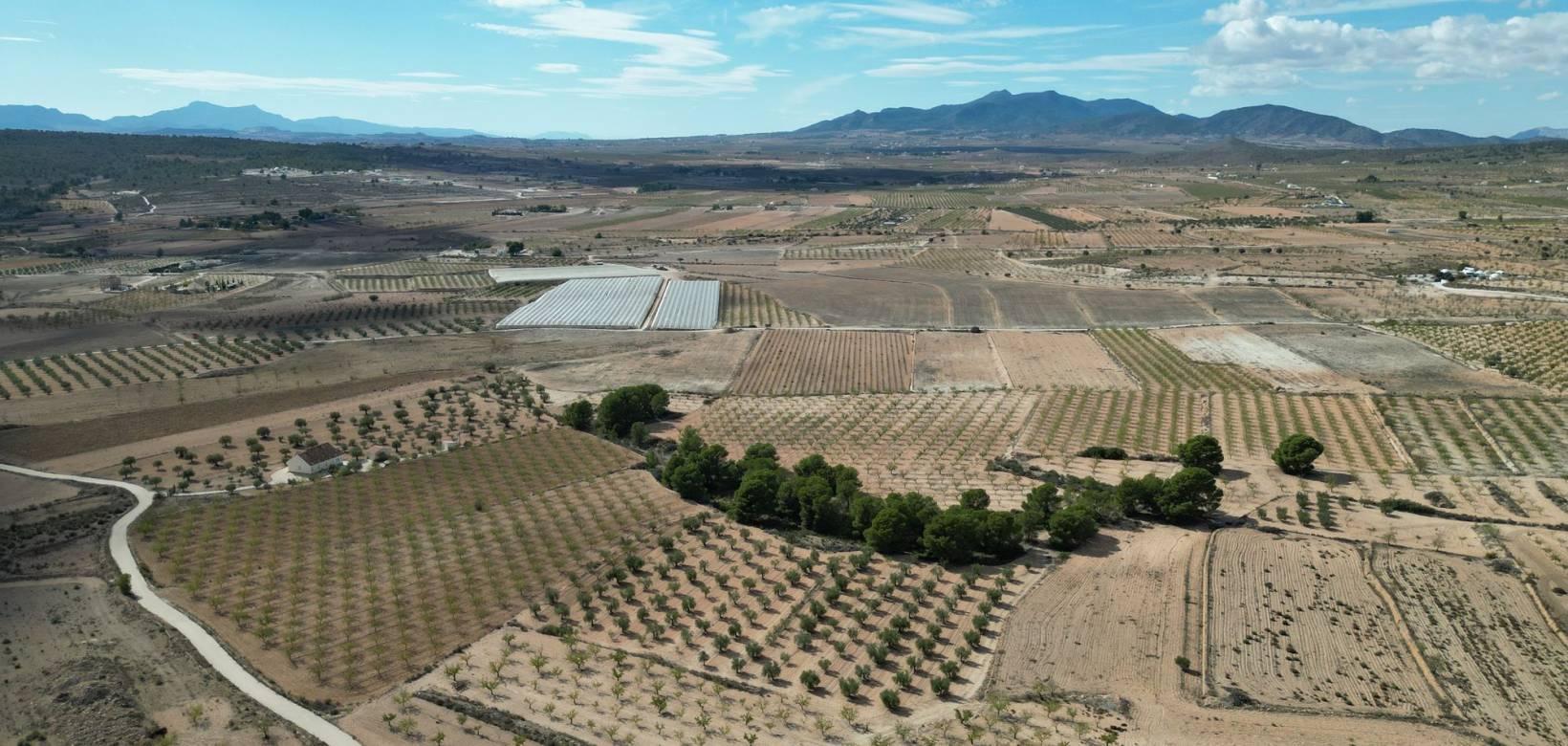 Venta - Grond - Pinoso