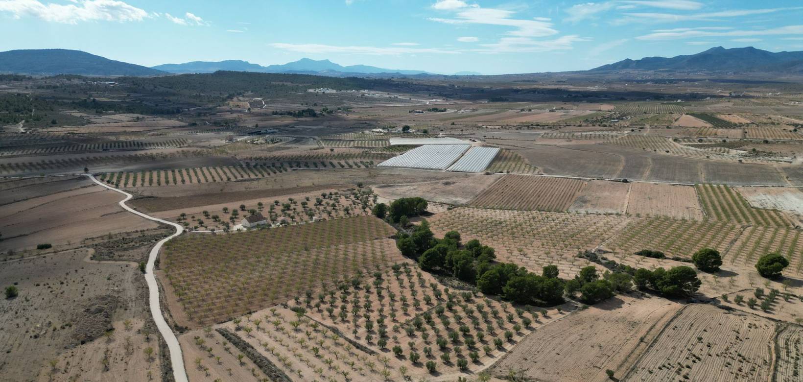 Venta - Grond - Pinoso