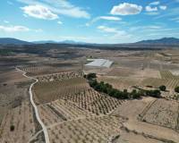 Venta - Grond - Pinoso