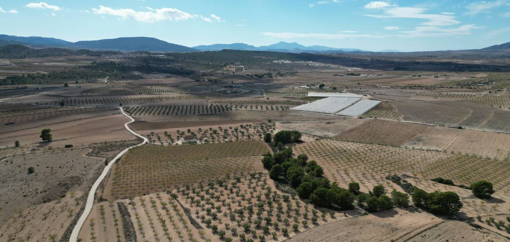 Venta - Grond - Pinoso