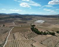 Venta - Grond - Pinoso