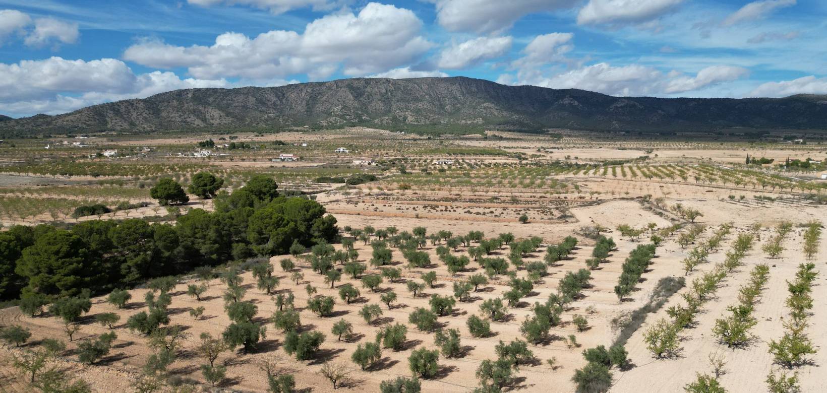 Venta - Grond - Pinoso