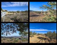 Venta - Herenhuis - Torre del Rico - Torre Del Rico