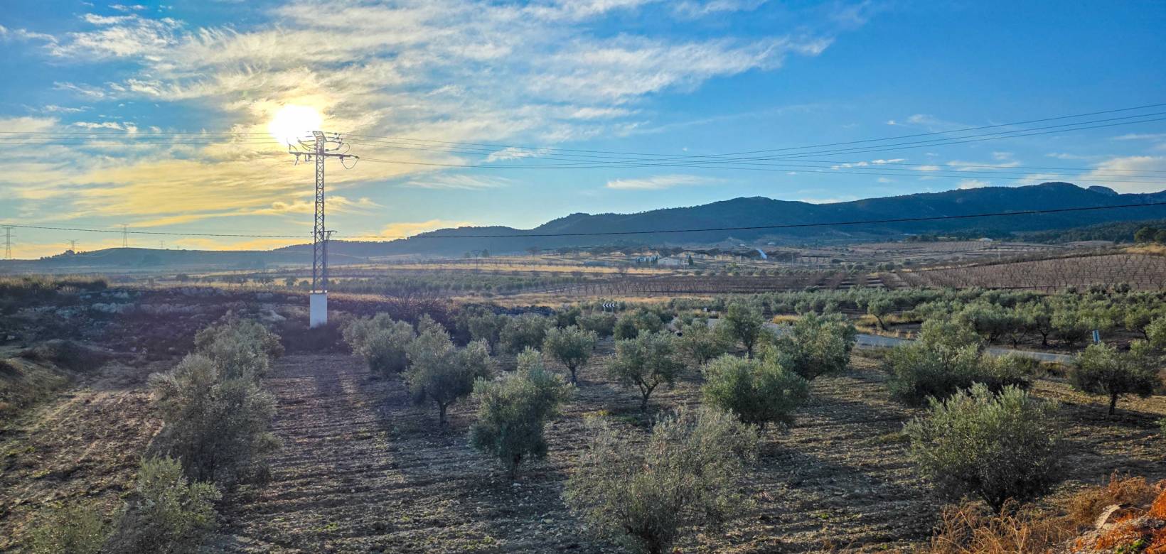 Venta - Herenhuis - Torre del Rico - Torre Del Rico