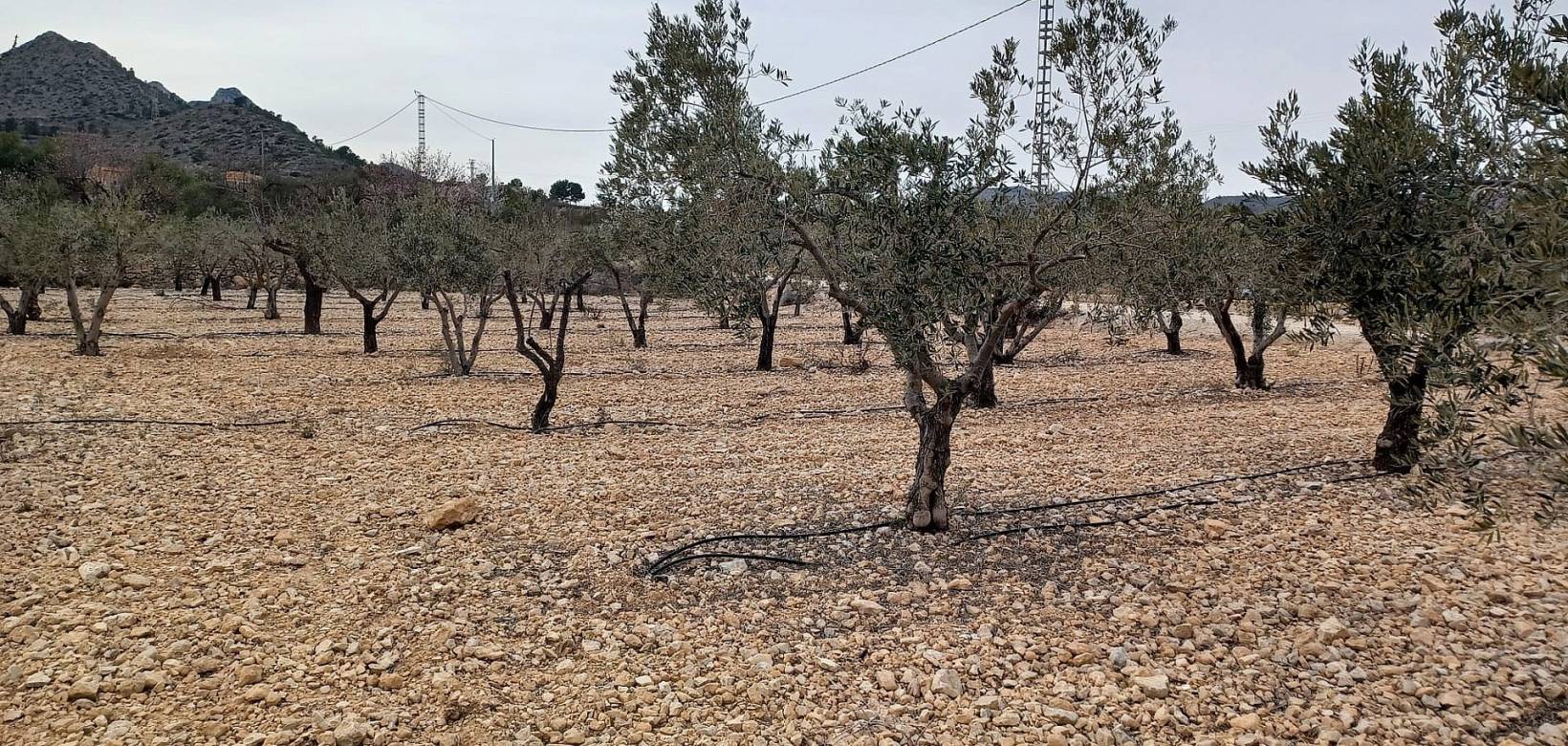 Venta - Land - La Romana