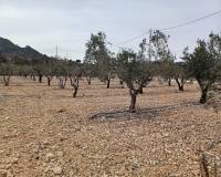 Venta - Land - La Romana