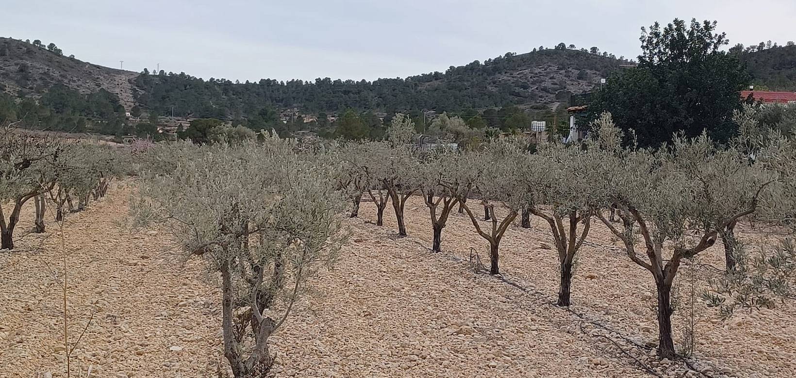 Venta - Land - La Romana